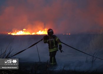 Lightning sets fire to Meighan wetland in central Iran