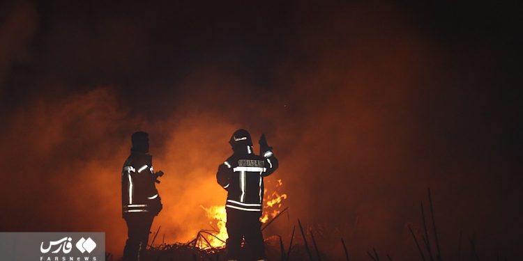 Lightning sets fire to Meighan wetland in central Iran