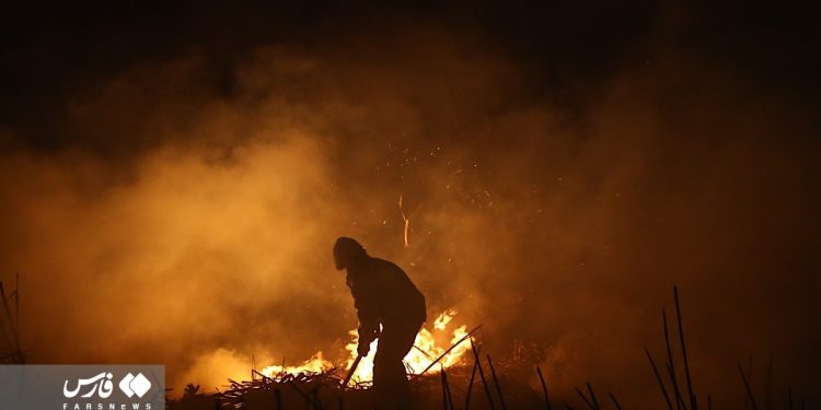Lightning sets fire to Meighan wetland in central Iran