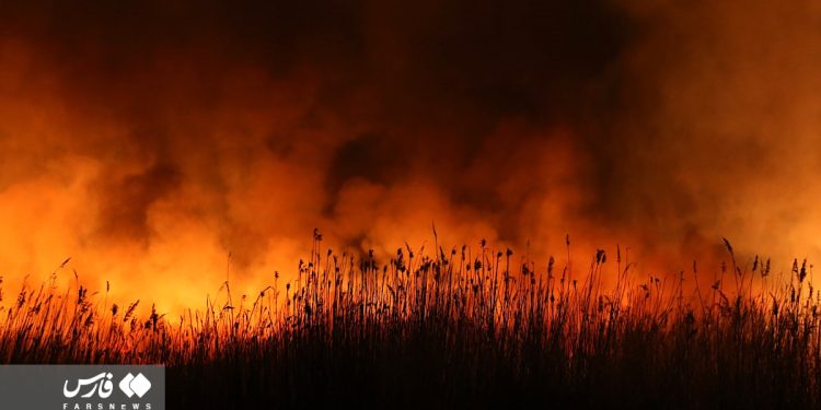 Lightning sets fire to Meighan wetland in central Iran
