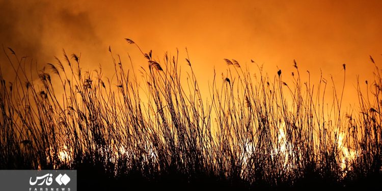Lightning sets fire to Meighan wetland in central Iran