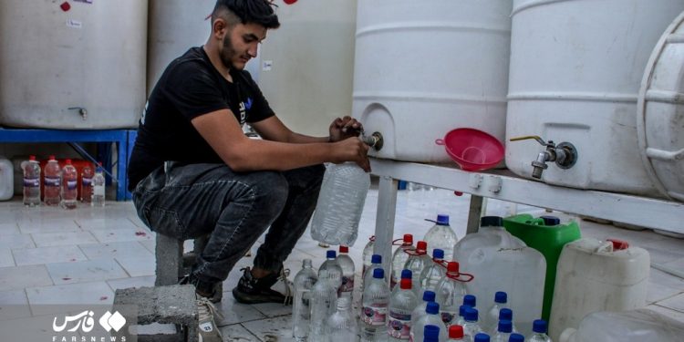 Rose harvest in southern Iran