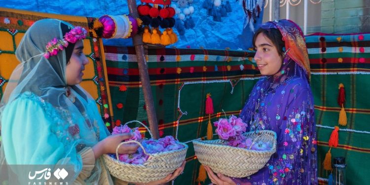 Rose harvest in southern Iran