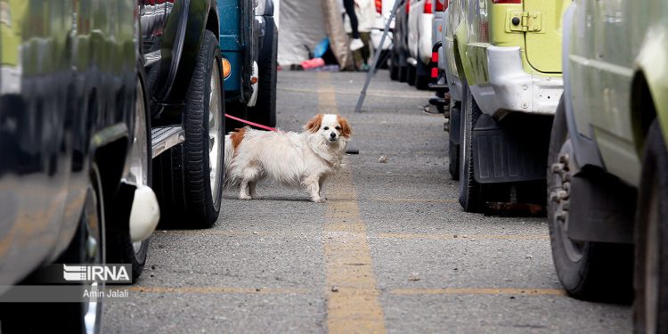 Caravan, camping and motorhome convention in Tehran