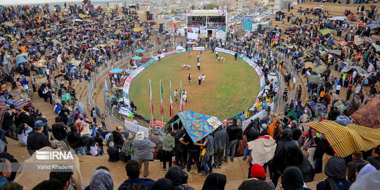 Traditional wrestling competition in northeastern Iran