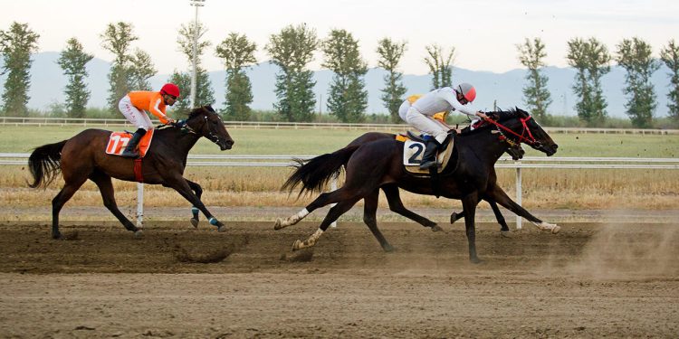 Spring horse races in Iran’s Gonbad Kavus