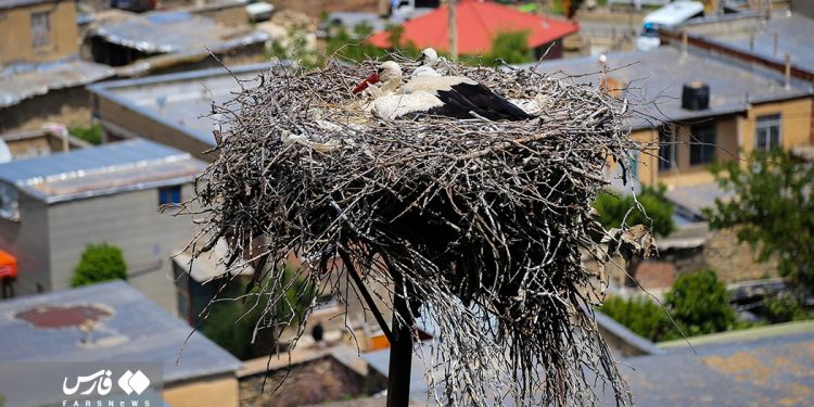 A trip to Iran’s capital of street theater