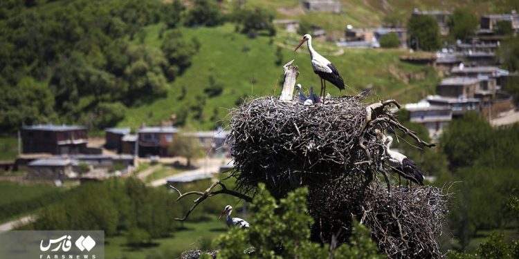 A trip to Iran’s capital of street theater