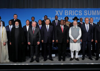 What Iran and other new members bring to BRICS?