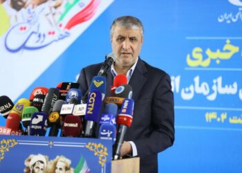 IAEA official to visit Iran