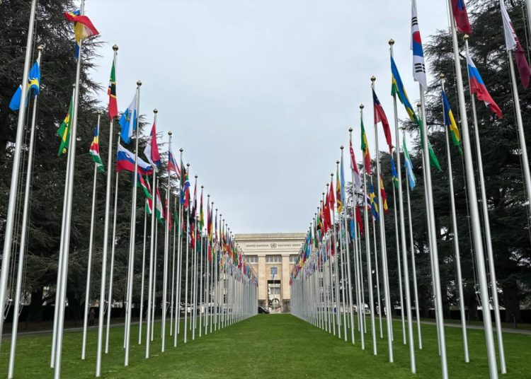 Reassessing human rights frameworks: A pressing need