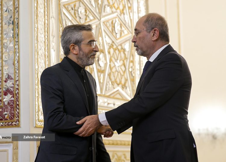 Jordan FM visits Iran, carrying a message from the King