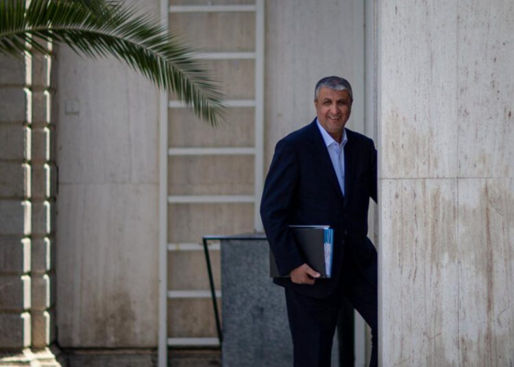 Iran to reconsider accepting US IAEA inspectors if deal reached