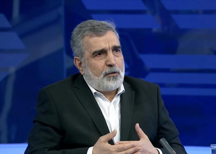 Iran has prepared response to anticipated IAEA resolution: Official